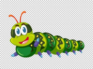 Green caterpillar in green color