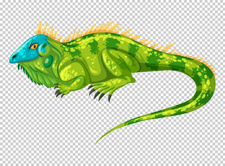 Wild lizard on transparent background