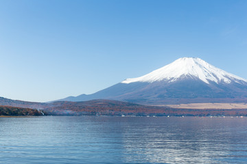 Mountain fuji