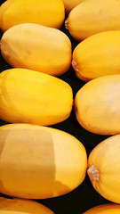 Fresh Spaghetti Squash