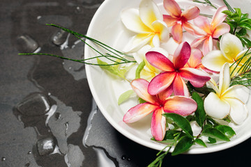 Bowl of water with Frangipani or plumeria. Spa treatment and product for hand or foot spa with flowers, leaf and water, black stone background