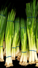 Obraz premium Fresh Green Onions
