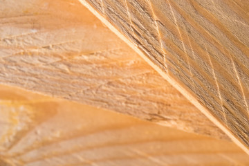 Wood texture