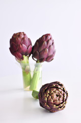 Obraz premium Purple artichokes on a table