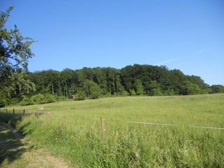 Fischbachtal germany