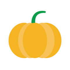 pumpkin vegetable icon image vector illustration design 
