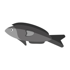 fish for eating icon image vector illustration design 
