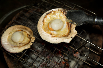 Grill scallops on stove at camping
