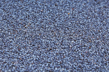Poppy seed closeup texture studio photo.