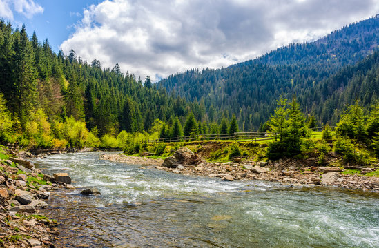 River among the forest in picturesque mountains in springtime