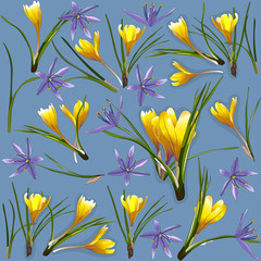 Crocus and Camassia flowers on blue background.