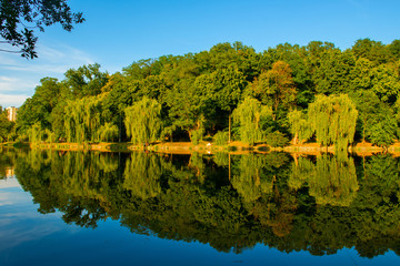 Fototapeta premium Beautiful lake at summer.