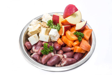 Hundefutter Schüssel 