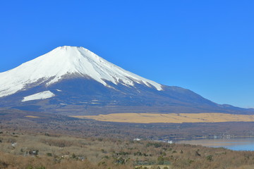 Naklejka premium Fuji Mountain