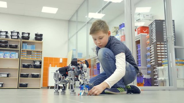 The boy playing with the robot elephant. 4K.