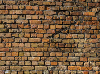 Fototapeta premium Steinmauer