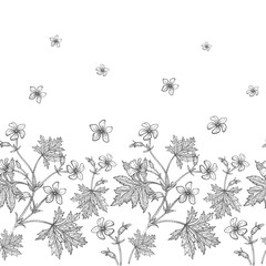 Fototapeta premium Geranium flowers. Seamless floral pattern.
