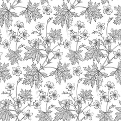 Geranium flowers. Seamless floral pattern.