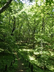 Noyamakita-Rokudoyama Park/Musashimurayama,Tokyo