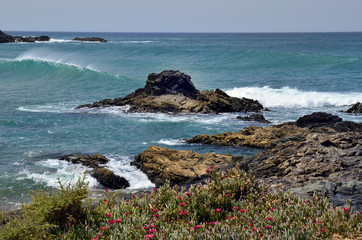 Spain, Canary Island, Fuerteventura