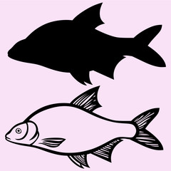 fish vector silhouette isolated on background 