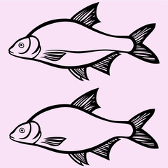 fish vector silhouette isolated on background 
