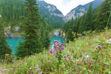 Natural beauty of Kazakhstan