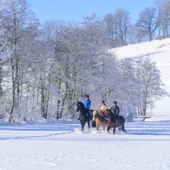 Reitergruppe beim entspannten Ausritt im Winter