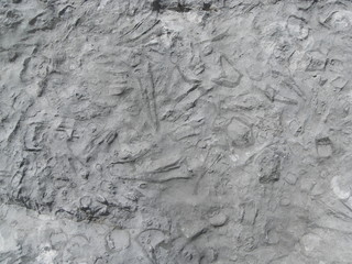 Muschelkalk