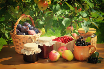 Still life with fruit and berries on a table in the garden under an apple tree.