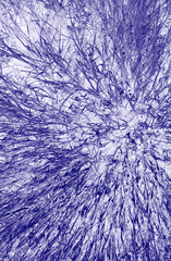 imaginative background