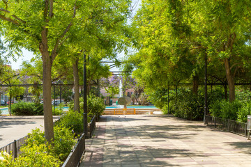 City suburban Park in summer sunny day morning.