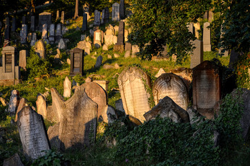Jewish cemetery