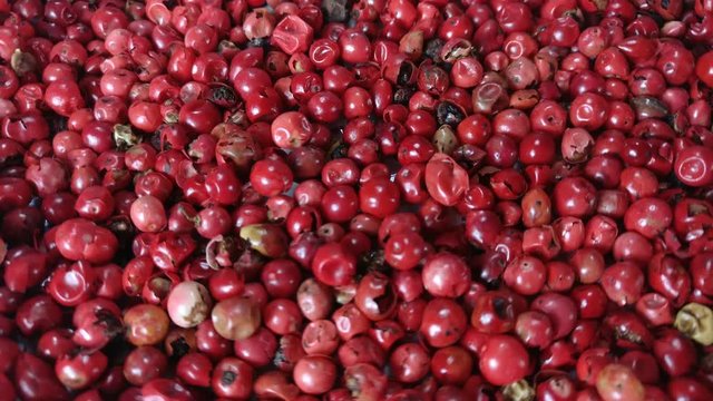 Pink pepper's grains rotating close up