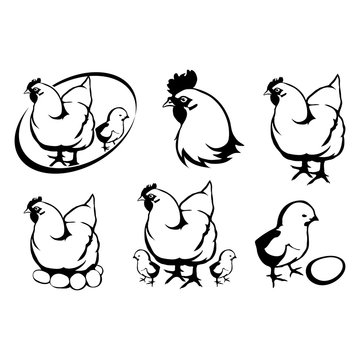 Set of six black  logo silhouettes of hen, vector image of Rooster, chick and egg, illustration isolated on white background, Traditional rural yard