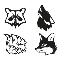 Set of four black  logo silhouettes of raccoon and vector image of cat with Fox and wolf, illustration isolated on white background, Wild shaggy animals