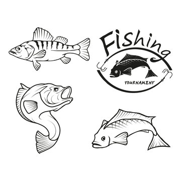 Set of four black  logo silhouettes of  River fish, illustration isolated on white background, vector image of animals, Fishing club logo