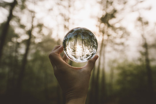 Hand holding crystal ball in forest
