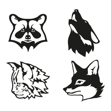 Set of four black  logo silhouettes of raccoon and vector image of cat with Fox and wolf, illustration isolated on white background, Wild shaggy animals