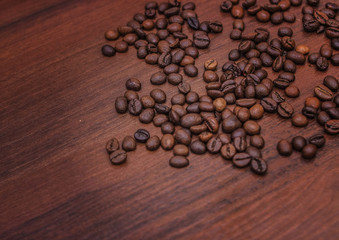 Black coffee beans on a brown tree