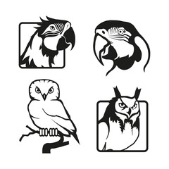 Set of four black  logo silhouettes of parrot and owl, illustration isolated on white background, vector image of animals, wild birds