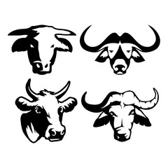 Set of four black  logo silhouettes of cow and vector image of bull nose with buffalo, illustration isolated on white background, Domesticated cattle