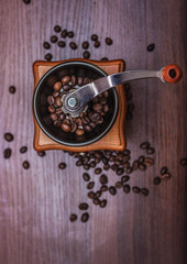 Coffee beans in a coffee grinder on a tree