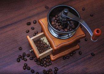 Coffee beans in a coffee grinder on a tree