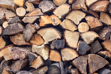 Stacked Logs Texture, Natural Background. Cross section of the timber, firewood stack for the background