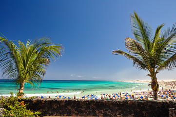 Stunning view of Corralejo Beach (Grandes Playas de Corralejo) on Fuerteventura, Canary Islands, Spain, Europe. Clear turquoise water and two palm trees in the foreground. Popular tourist destination.