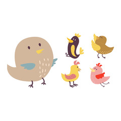 Cute birds vector set illustration cartoon colorful
