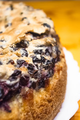 sponge cake with black currants