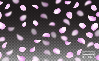 Bright Flying Petals on a Effect on Isolated Transparent Background. Festive Banner and Poster. Celebration Pink Texture. Realistic Design Elements. Vector Illustration