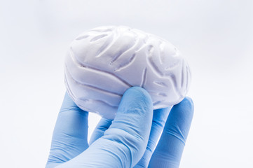 Doctor keeps in hand, dressed in blue glove, anatomical shape of human brain. Concept picture symbolizing diagnosis, treatment, care, prevention and protection of mental and cognitive brain diseases